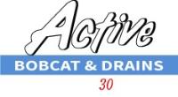 Active Bobcat and Drains image 1